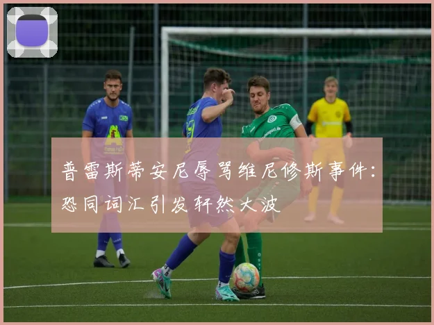 普雷斯蒂安尼辱骂维尼修斯事件：恐同词汇引发轩然大波