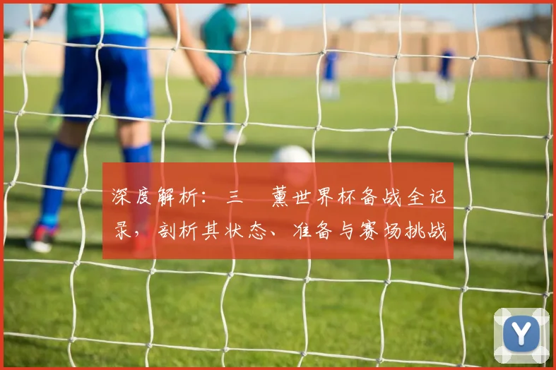 深度解析：三笘薰世界杯备战全记录，剖析其状态、准备与赛场挑战