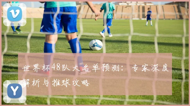 世界杯48队大名单预测:专家深度解析与推球攻略